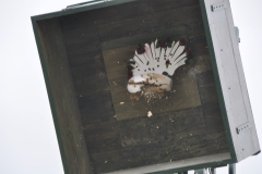 Schuetzenfestmontag-2023_400140