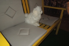 Schuetzenfestmontag-2023_800269