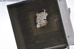 Schuetzenfest2023_DSC_0107_klein