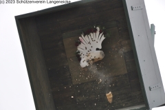 Schuetzenfest2023_DSC_0115_klein