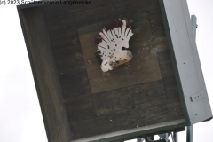 Schuetzenfest2023_DSC_0119_klein