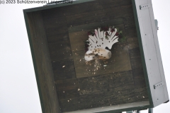 Schuetzenfest2023_DSC_0138_klein