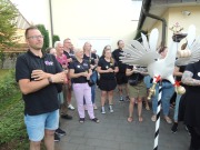 20240625_Vogelbauen_0060