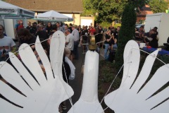 20240625_Vogelbauen_0001