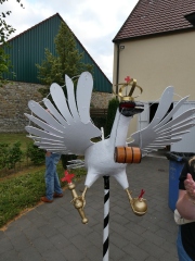 20250624_Vogelbegutachten_0055