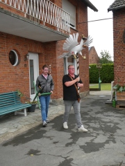 20250626_Vogelkoenigin_0023