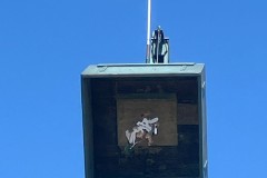 20250630_Montagvormittag_0144b