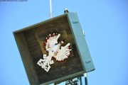2025DSC_0008_klein
