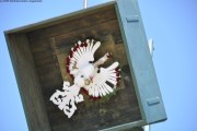 2025DSC_0030_klein