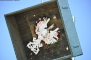 2025DSC_0035_klein
