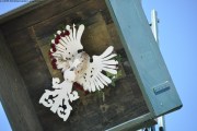 2025DSC_0066_klein