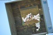 2025DSC_0156_klein