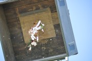 2025DSC_0193_klein