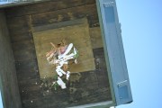 2025DSC_0219_klein