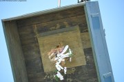 2025DSC_0220_klein