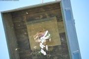 2025DSC_0222_klein