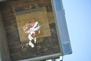 2025DSC_0223_klein