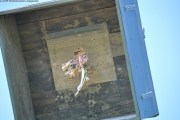 2025DSC_0236_klein