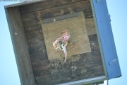 2025DSC_0240_klein