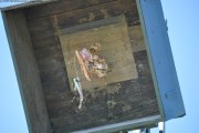 2025DSC_0249_klein