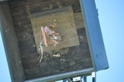 2025DSC_0252_klein