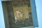 2025DSC_0254_klein
