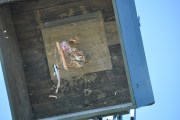 2025DSC_0255_klein