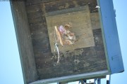 2025DSC_0258_klein