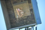 2025DSC_0260_klein