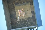 2025DSC_0262_klein
