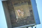 2025DSC_0265_klein