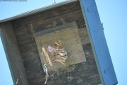 2025DSC_0266_klein