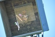 2025DSC_0268_klein