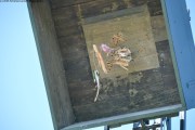 2025DSC_0269_klein