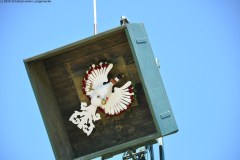 2025DSC_0008_klein