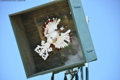 2025DSC_0023_klein