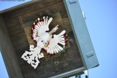 2025DSC_0028_klein