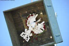 2025DSC_0035_klein