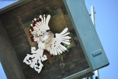 2025DSC_0066_klein