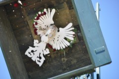 2025DSC_0071_klein