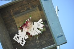 2025DSC_0083_klein