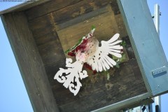 2025DSC_0086_klein