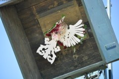2025DSC_0089_klein