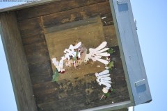 2025DSC_0165_klein