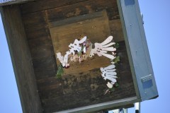 2025DSC_0167_klein