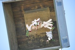 2025DSC_0169_klein