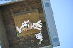 2025DSC_0173_klein