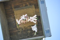 2025DSC_0175_klein