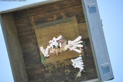 2025DSC_0177_klein