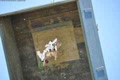 2025DSC_0188_klein